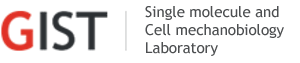 Single Molecule Biology and Cellular Dynamics Laboratory