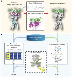 AI-based prediction of new binding site and virtual screening for the discovery of novel P2X3 receptor antagonists